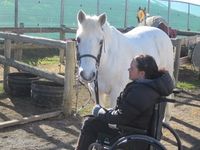 Therapeutic Riding