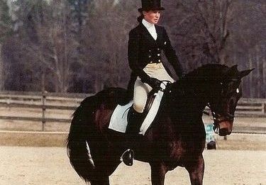 Distance Coaching - Dressage