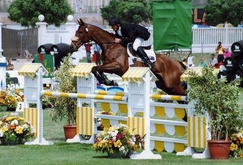 Distance Coaching - Show Jumping