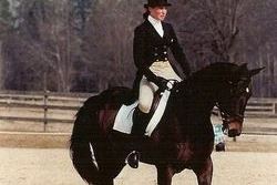 Distance Coaching - Dressage