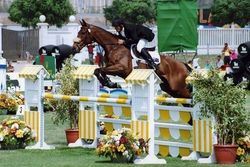 Distance Coaching - Show Jumping